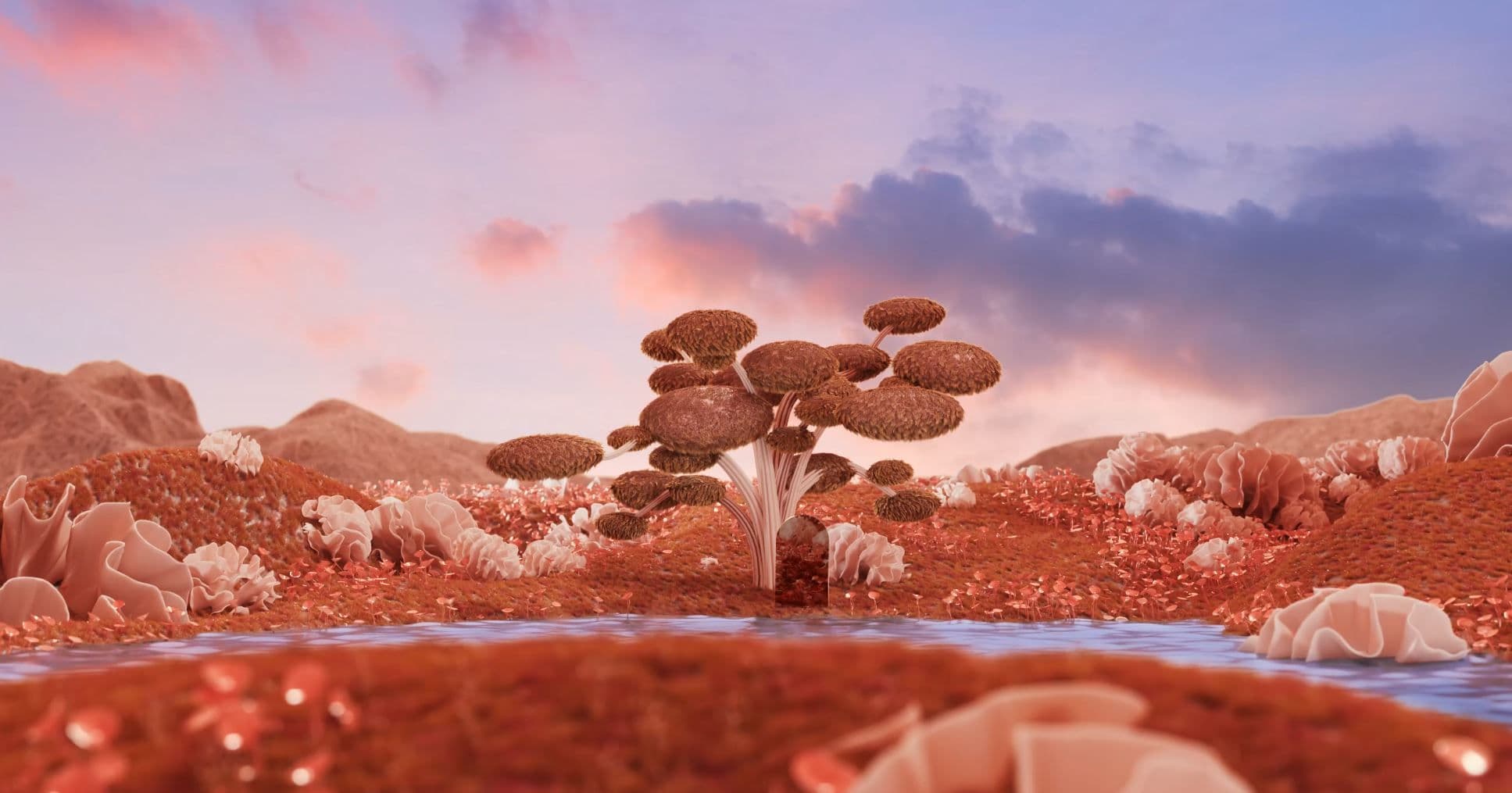 The brink agency showreel 2024